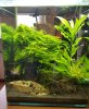 20171017_103150.jpg