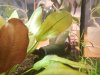 20171018_160709_1-min.jpg 20171018_160709_1-min.jpg