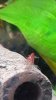 IMG-20171113-WA0019.jpeg IMG-20171113-WA0019.jpeg