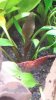 IMG-20171113-WA0023.jpeg IMG-20171113-WA0023.jpeg