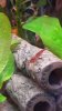 IMG-20171113-WA0021.jpeg IMG-20171113-WA0021.jpeg