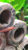 IMG-20171113-WA0027.jpeg IMG-20171113-WA0027.jpeg