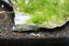 IMG_3318.JPG IMG_3318.JPG