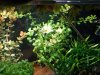 DSCN4412.JPG DSCN4412.JPG