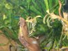 DSCN4431.JPG DSCN4431.JPG