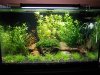 DSCN4447.JPG
