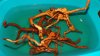 DSCF3107.JPG