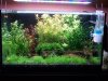 DSCN4491.JPG