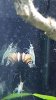 IMG-20180125-WA0008.jpg IMG-20180125-WA0008.jpg