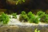 DSC_0160.jpg DSC_0160.jpg