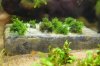 DSC_0161.jpg DSC_0161.jpg