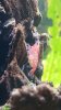 20180407_180344-747x1328.jpg 20180407_180344-747x1328.jpg