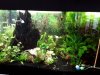 IMG-20180418-WA0001.jpg