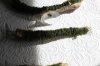 IMG_4004.JPG IMG_4004.JPG