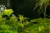 DSC_0174.jpg DSC_0174.jpg