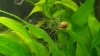 20180505_202421-1328x747.jpg