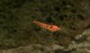 DSC_0547.jpg