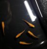 20180422_213123.jpg 20180422_213123.jpg