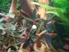 DSCN4614.JPG