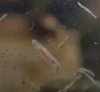 20180810_072643.jpeg 20180810_072643.jpeg