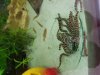 20180718_110551.jpeg 20180718_110551.jpeg