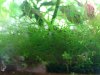 20180917_155758.jpg 20180917_155758.jpg