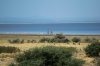 2018-10-05 Lake Manyara Nationalpark  (236).jpg