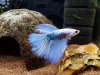 PhotoEditor_20181109_155140678-1024x768.jpg