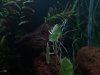 20181208_002001.jpg