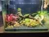 20181207_172958.jpg