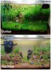 CollageMaker_20181215_125150890-1638x2185.jpg