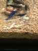 IMG_4558.JPG IMG_4558.JPG