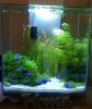 Aquarium-Edge.jpg Aquarium-Edge.jpg