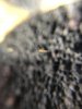 DB495D15-ECEB-47E3-8A97-33A3AB9CE5D5.jpeg