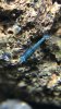 D71B0E79-5D8E-4F66-97B8-9A152DD2DB67.jpeg D71B0E79-5D8E-4F66-97B8-9A152DD2DB67.jpeg
