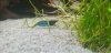 20210429_115706.jpg 20210429_115706.jpg