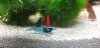 20210430_100344.jpg 20210430_100344.jpg