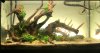 FF13E0BD-F8F4-4C72-9D49-A4162F943DA9.jpeg FF13E0BD-F8F4-4C72-9D49-A4162F943DA9.jpeg