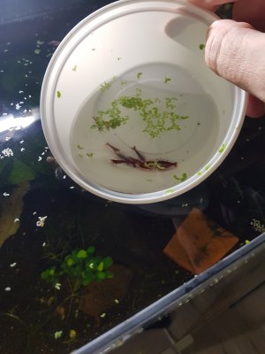 20220709_205718_copy_1512x2016.jpg
