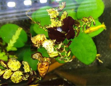 IMG_2655.jpg IMG_2655.jpg