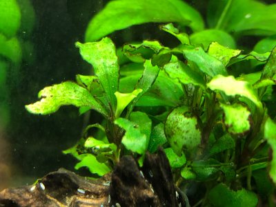 IMG_2656.jpg IMG_2656.jpg