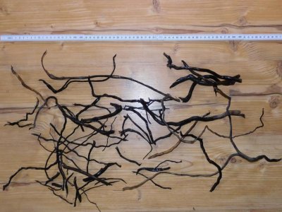 K800_Spiderwood-Zweige.JPG K800_Spiderwood-Zweige.JPG