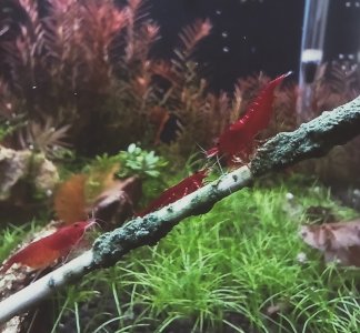 IMG20220908162621.jpg IMG20220908162621.jpg