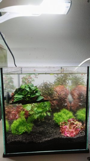 20220909_120641.jpg 20220909_120641.jpg