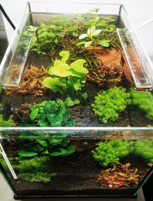 20220912_123511.jpg 20220912_123511.jpg