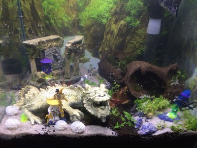 IMG-20180911-WA0001.jpg IMG-20180911-WA0001.jpg