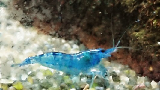 _20201107_150042.JPG _20201107_150042.JPG