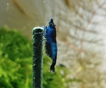 _20200908_153113.JPG _20200908_153113.JPG