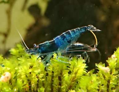 _20210129_145438.JPG _20210129_145438.JPG