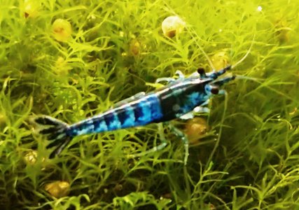 _20210522_153919.JPG _20210522_153919.JPG